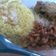 Cooksnap dari Elisa Nurma untuk resep Nasi Kuning