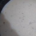 El cooksnap de Residencial Las Palmas cuando hizo Coliflor con Salsa Blanca Asada, rica y fácil.