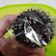 Cooksnap dari Liza Andriani Basrie untuk resep Muffin coklat eggless