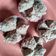 Cooksnap dari Lusiana Rahmawati untuk resep Bolu kukus mekar