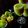 Suchitra S(Radhika S)'s cooksnap of when they made Kiwi Cucumber Mint Cooler.
