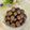 Cooksnap dari Shanty Bambang untuk resep Sus kering coklat