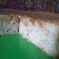 Cooksnap dari Maul untuk resep Bolu Pisang
