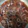 Cooksnap dari Frizka Farah Octiva untuk resep Cumi saos padang #SeafoodFestival