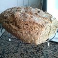 El cooksnap de Amparo S. J. cuando hizo Pan rápido Thermomix.