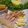 Cooksnap của Nguyễn Hoàng Yến khi họ làm theo món Thịt luộc cuốn rau rừng 🌿