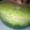 Cooksnap dari nurrahma19 untuk resep Agar-agar pandan hijau lumut