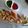 Jasmin Motta _ #BeingMotta's cooksnap of when they made Kadi Patta or Curry leaves Pakoda.