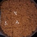 Prerna M Chawhan's cooksnap of when they made Milk cake from Leftover Ghee.