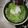 Cooksnap dari Gia untuk resep Cendol nutrijel