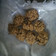 El cooksnap de María Araújo cuando hizo Galletas de avena y pasas #soycupido.