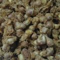 Cooksnap dari Yuliani Budi Astuti untuk resep Kacang Disco ala bunda Cantika