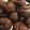 Cooksnap από Georgia στη συνταγή Μπισκότα τύπου brownies