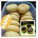 Cooksnap dari riski prasetianing untuk resep 🍩 Donat Santan Kara 🍩 "Wangi-Gurih-Lembut" #ExploreResepDonat