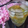 کوک اسنپ elahe abdolahi بعد از امتحان کردن نوشیدنی شربت سکنجبین و تخم شربتی رنگی.