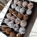 El cooksnap de Naty cuando hizo Popcakes.