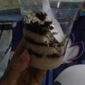 Cooksnap dari Exa Woeland untuk resep Cheesecake Oreo Melted