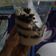 Cooksnap dari Exa Woeland untuk resep Cheesecake Oreo Melted