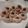 connie.stringer.14's cooksnap of when they made Cherry Chocolate Kiss Cookies.