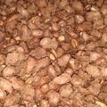 Cooksnap dari Byan Fitrie untuk resep Kacang Disco Kribo dan Renyah