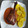 El cooksnap de Alberto cuando hizo Pavo al horno.