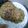 El cooksnap de Luis Gutierrez cuando hizo Milanesa de soya.