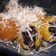Cooksnap dari Linda Dwi Hartati untuk resep Bola Pisang Coklat