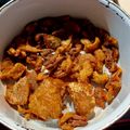 Andrea Dobóvári Cooksnap-ja, amikor elkészítette a(z) Kacsatepertő, kacsazsír készítése házilag receptet.
