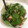 El cooksnap de David Ruperto Serra Campano cuando hizo Ensalada 🥗 espinaca, palta, tomate, queso y nuez.