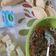 Cooksnap dari Novita Rahayu untuk resep Rogut isian pastel
