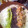 El cooksnap de Dan Barreto @elhornodeeloy cuando hizo Tacos/ burritos /fajitas de res, cerdo y pollo.