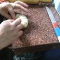 Sayyed Tarannum का कुकस्नैप जब उन्होंने रिंग समोसा (Ring samosa recipe in Hindi) बनाया था।