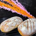 Cooksnap dari Maria Nukita untuk resep Mirukuhasu No Knead