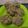 Cooksnap dari Yuni untuk resep Bolu Kukus Pisang Mekar No Telur No Mixer