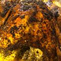 Crock Pot Girl 🤡's cooksnap of when they made Thanksgiving 🍁Turkey 🦃.