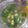 Cooksnap dari dwi juliani untuk resep Sayur Bayam Bening