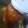 El cooksnap de Eliana cuando hizo Mermelada de la abuela (naranja, pera o manzana).