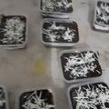 Cooksnap dari atiek naura untuk resep Dessert Box, Brownies Coklat Lumer