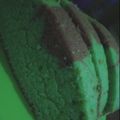 Cooksnap dari Irtawindra Charisma untuk resep Bolu panggang putih telur pandan