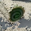 Cooksnap dari anny untuk resep Mochi Gulung