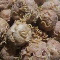 Cooksnap dari Linda Purnama Irfin untuk resep Bola-bola rambutan supermi