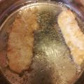 El cooksnap de Maria Reina Marrero Mercado cuando hizo Sabrosa pechuga de pollo empanada sin huevo.