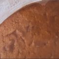 Cooksnap de Ana Clarisse quando cozinhou Bolo de Maçã e Iogurte.