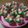 Cooksnap dari Rizky Eka Putri untuk resep Bolu kukus semangka
