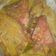 Cooksnap dari dewi maharani untuk resep Gulai kepala kakap #PR_recookrancakbana