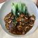 Cooksnap dari titis untuk resep Pokcoy siram jamur