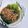 Cooksnap dari Ghea Octo Samara untuk resep Pok Coy Garlic
