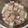 QBee Sindy Chien 的 蘿蔔排骨湯 cooksnap