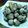 Cooksnap dari Kancil Hup Hup untuk resep KERANG DARA REBUS SIMPEL