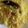 Neha Roy's cooksnap of when they made বাসন্তী পোলাও(basanti pulao recipe in Bengali).